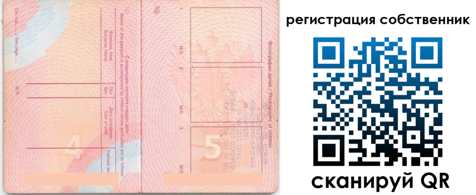 временная регистрация купить в Чкаловске