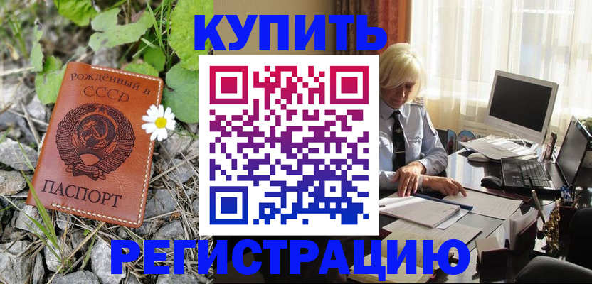 временная регистрация поиск в Чкаловске